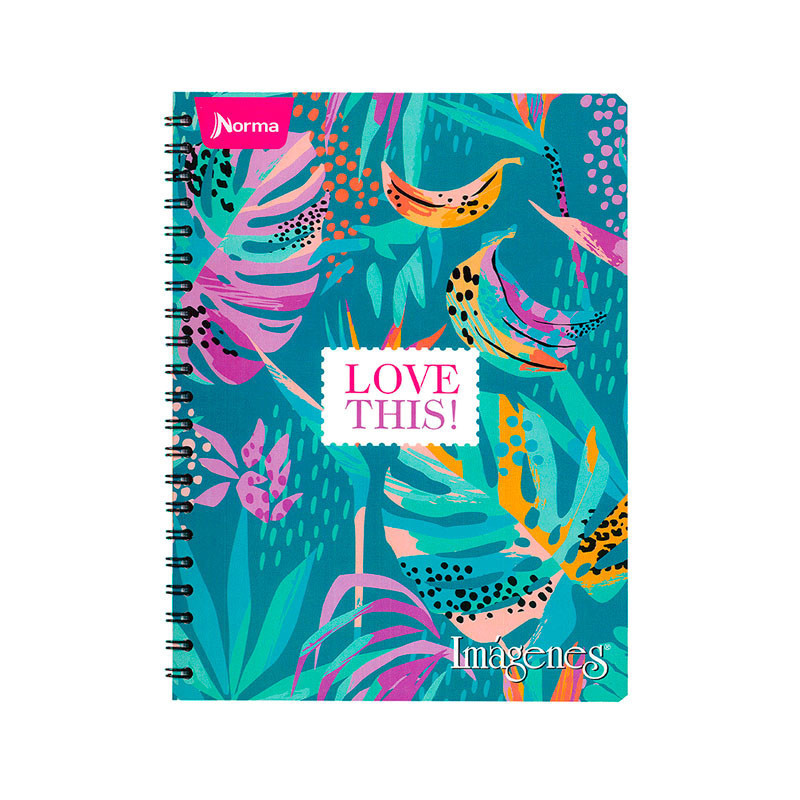 CUADERNO ARGOLLADO 105 PACA X 60