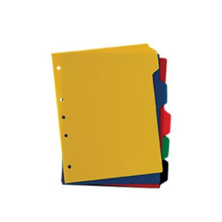 SEPARADOR PLASTICO CARTA X5