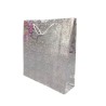 BOLSA HOLOGRAMADA NUMERO 4 REF 34X8X26