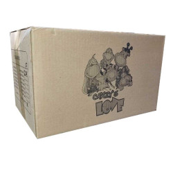 CUADERNO ARGOLLADO 105 7 MATERIAS CRAZY LOVE DAMA-CABALLERO PACA X 24