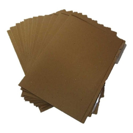CARPETA CARTON CARTA