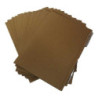 CARPETA CARTON CARTA